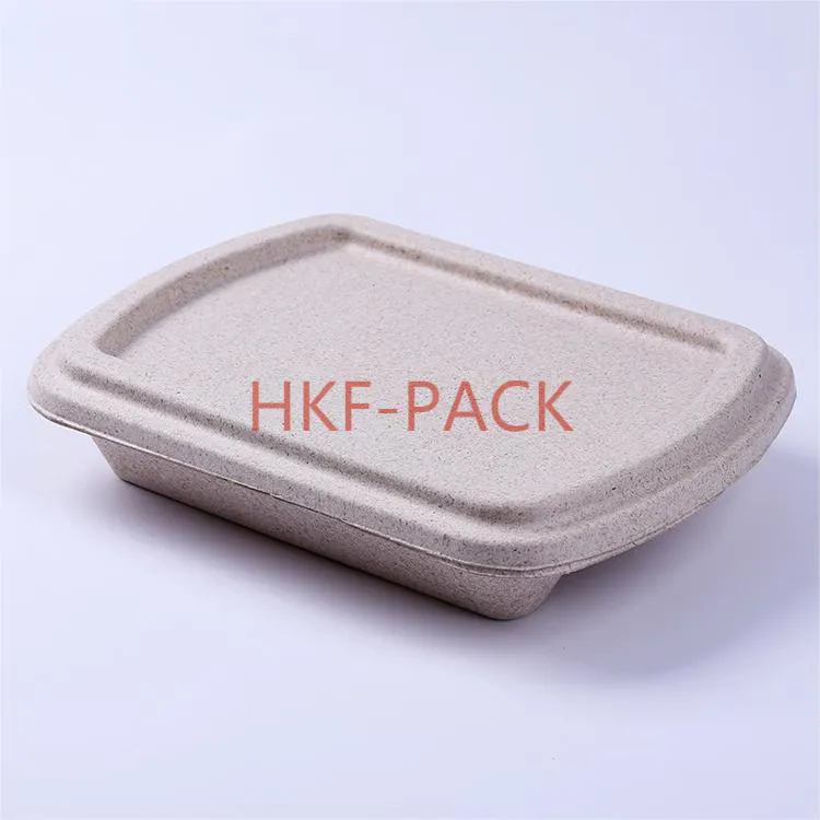 Food Container Pulp Molding