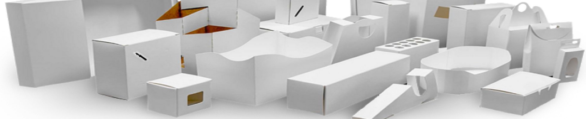 folding carton packaging.jpg